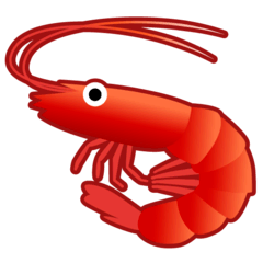 shrimp-google